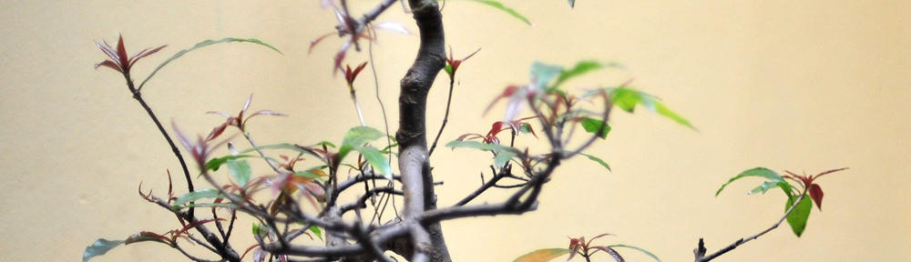 zamudio lab — ucla